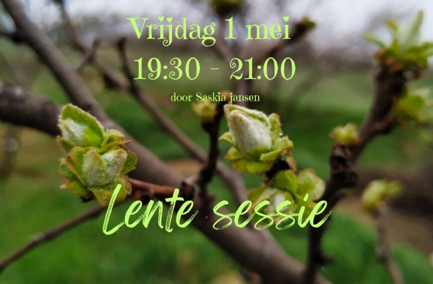 XL-yogales: Yin en Yoga Nidra – vrijdag 1 mei